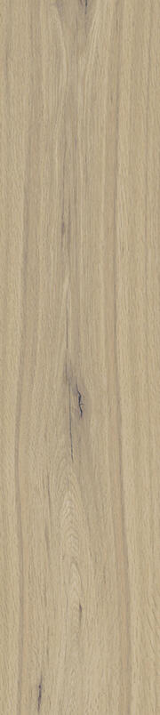 BASIC KOLLEKTION - Vienna