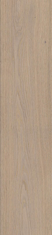 BASIC KOLLEKTION - Lisbon