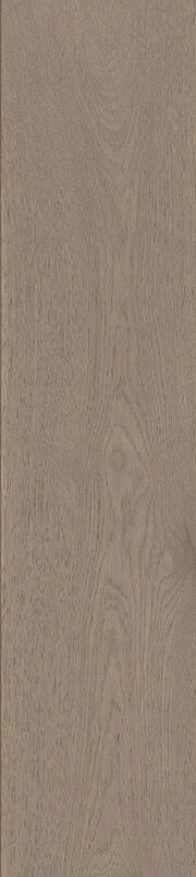 MANOR HOUSE LACKIERT KOLLEKTION - Fane